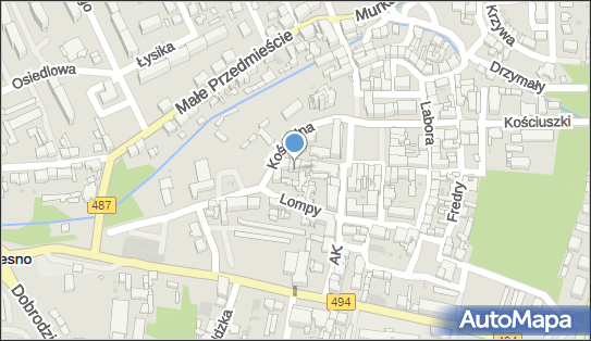 Przedsiębiorstwo, Firma, ul. Wolności 8, Olesno - Przedsiębiorstwo, Firma, NIP: 5761466890