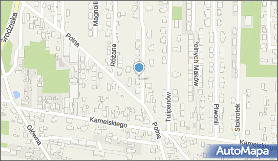 Przedsiębiorstwo, Firma, Sasanek 32, Nowa Wieś 05-806 - Przedsiębiorstwo, Firma, NIP: 5272300701