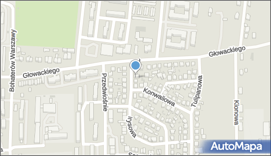 Przedsiębiorstwo, Firma, Różana 8, Brzeziny 95-060 - Przedsiębiorstwo, Firma, NIP: 8331126420