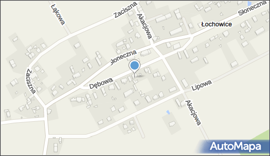 Przedsiębiorstwo, Firma, Łochowice 16, Łochowice 66-600 - Przedsiębiorstwo, Firma, NIP: 9261549669