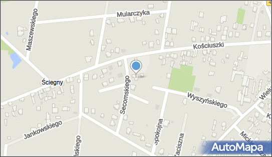 Przedsiębiorstwo, Firma, ul. prof. Kazimierza Secomskiego 8 97-360 - Przedsiębiorstwo, Firma, NIP: 5741118252