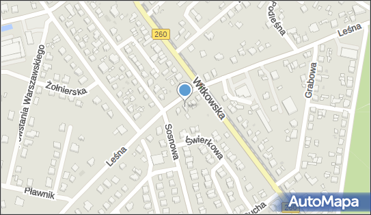 Przedsiębiorstwo, Firma, ul. Leśna 19 A, Gniezno 62-200 - Przedsiębiorstwo, Firma, NIP: 7842398136