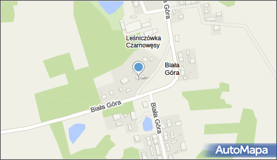 Przedsiębiorstwo, Firma, Biała Góra 39, Biała Góra 78-331 - Przedsiębiorstwo, Firma, NIP: 6721569609