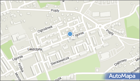 Przedsiębiorstwo, Firma, ul. Ligonia 5 B, Czerwionka-Leszczyny 44-238 - Przedsiębiorstwo, Firma, NIP: 6421460475