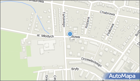 Przedsiębiorstwo, Firma, ul. Tadeusza Tańskiego 22 55-231 - Przedsiębiorstwo, Firma, NIP: 9121569962
