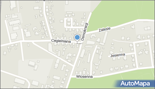 Przedsiębiorstwo, Firma, ul. Cegielniana 16, Dębno 74-400 - Przedsiębiorstwo, Firma, NIP: 5971229191