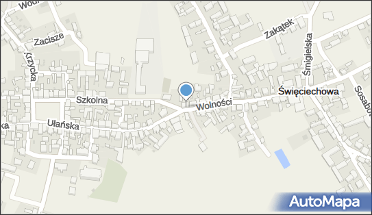 Przedsiębiorstwo, Firma, ul. Wolności 1, Święciechowa 64-115 - Przedsiębiorstwo, Firma, NIP: 6972268437