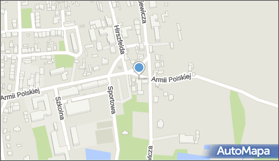 Przedsiębiorstwo, Firma, ul. Armii Polskiej 1, Góra 56-200 - Przedsiębiorstwo, Firma, NIP: 6990004996