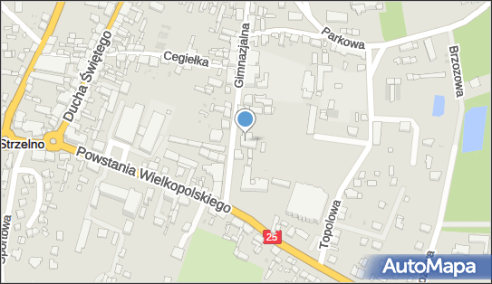 Przedsiębiorstwo, Firma, ul. Gimnazjalna 13, Strzelno 88-320 - Przedsiębiorstwo, Firma, NIP: 5571697089