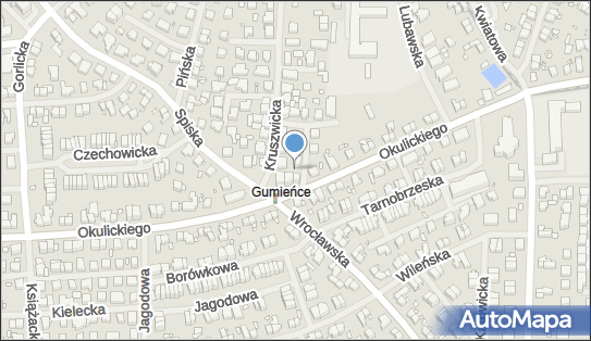 Przedsiębiorstwo, Firma, ul. Leopolda Okulickiego 77, Szczecin 71-035 - Przedsiębiorstwo, Firma, NIP: 9550002859