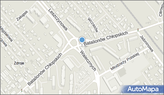 Przedsiębiorstwo, Firma, ul. Batalionów Chłopskich 44A, Szczecin 70-666 - Przedsiębiorstwo, Firma, NIP: 8510100621