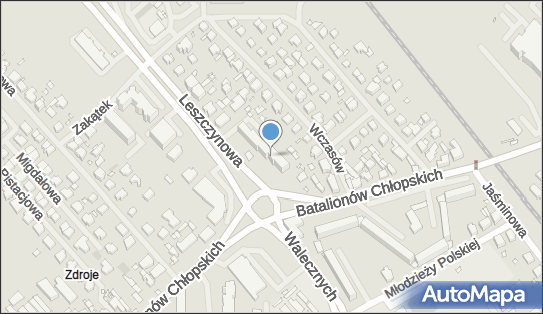 Przedsiębiorstwo, Firma, ul. Leszczynowa 2A, Szczecin 70-766 - Przedsiębiorstwo, Firma, NIP: 8520604205