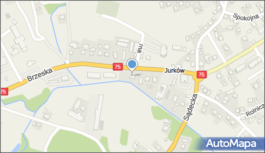 Przedsiębiorstwo, Firma, Jurków 280, Jurków 32-860 - Przedsiębiorstwo, Firma, NIP: 8691983267