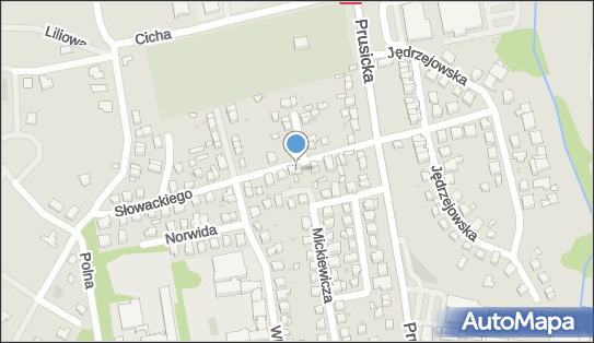 Przedsiębiorstwo, Firma, ul. Juliusza Słowackiego 7, Trzebnica 55-100 - Przedsiębiorstwo, Firma, NIP: 9150007913