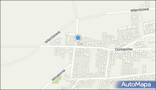 Przedsiębiorstwo, Firma, Domaniów N/N, Domaniów 55-216 - Przedsiębiorstwo, Firma, NIP: 9120013168