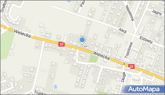 Przedsiębiorstwo, Firma, ul. Welecka 19, Mierzyn 72-006 - Przedsiębiorstwo, Firma, NIP: 8520023804