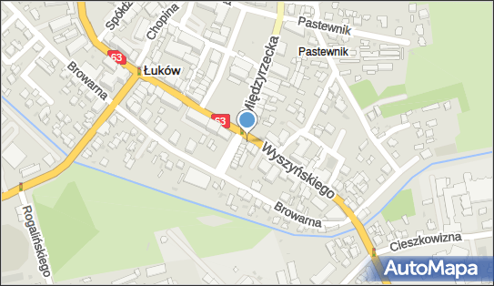 Przedsiębiorstwo, Firma, ul. ks. kard. Stefana Wyszyńskiego 16 21-400 - Przedsiębiorstwo, Firma, NIP: 8251001739