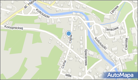Przedsiębiorstwo, Firma, ul. Cicha 4, Lądek-Zdrój 57-540 - Przedsiębiorstwo, Firma, NIP: 8811141365