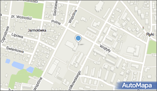 Przedsiębiorstwo, Firma, ul. Leona Wyczółkowskiego 10, Ryki 08-500 - Przedsiębiorstwo, Firma, NIP: 5060067559