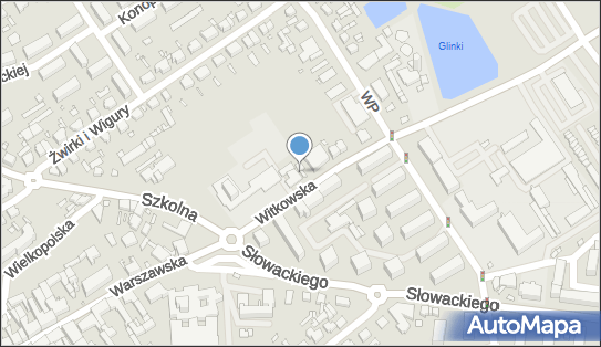 Przedsiębiorstwo, Firma, ul. Witkowska 5, Września 62-300 - Przedsiębiorstwo, Firma, NIP: 7891181974