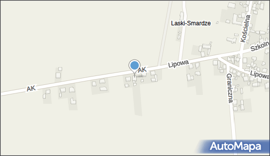 Przedsiębiorstwo, Firma, ul. Armii Krajowej 5, Laski 63-620 - Przedsiębiorstwo, Firma, NIP: 6191970154
