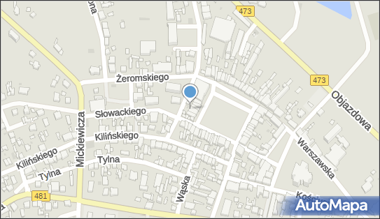 Przedsiębiorstwo, Firma, pl. 11 Listopada 22, Łask 98-100 - Przedsiębiorstwo, Firma, NIP: 8310001506