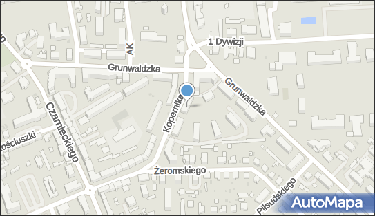 Przedsiębiorstwo Geodezyjno Wydawnicze, ul. Mikołaja Kopernika 16 14-100 - Przedsiębiorstwo, Firma, NIP: 7411331920