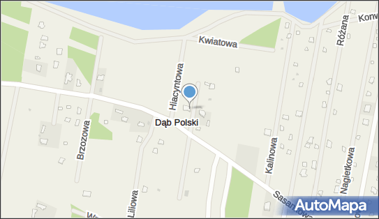 Przedsiębiorstwo Geoinwest, ul. Storczykowa 6, Dąb Polski 87-815 - Przedsiębiorstwo, Firma, numer telefonu, NIP: 8880202213