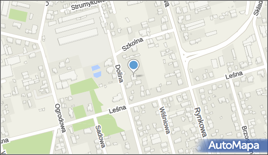 Przedsiębiorstwo Handlowe D B, Dolina 11, Przeźmierowo 62-081 - Przedsiębiorstwo, Firma, NIP: 7772476404