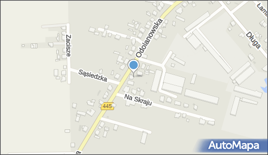 Przedsiębiorstwo Handlowe Dora D P Gruszeccy, ul. Odolanowska 95A 63-400 - Przedsiębiorstwo, Firma, numer telefonu, NIP: 6221093339