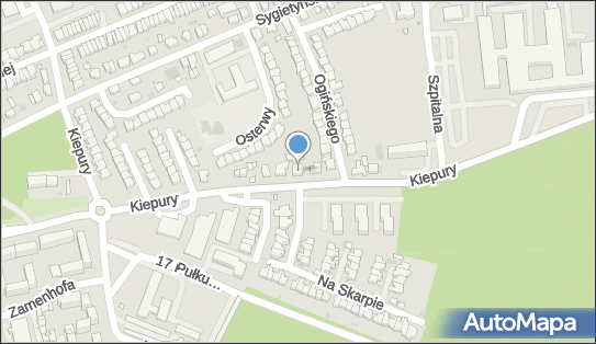 Przedsiębiorstwo Handlowe Leszno, ul. Jana Kiepury 27, Leszno 64-100 - Przedsiębiorstwo, Firma, NIP: 6971005931