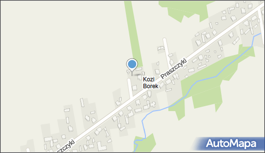 Przedsiębiorstwo Handlowe Ludwik Kapuścik, Praszczyki 102 42-140 - Przedsiębiorstwo, Firma, NIP: 5741060989