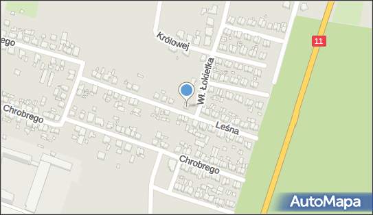 Przedsiębiorstwo Handlowe Polex, Leśna 16, Jarocin 63-200 - Przedsiębiorstwo, Firma, NIP: 6171146452