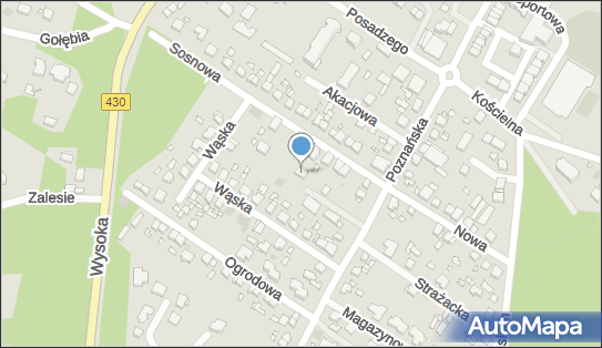 Przedsiębiorstwo Handlowe TKM, Poznańska 88C, Puszczykowo 62-040 - Przedsiębiorstwo, Firma, NIP: 7772510762