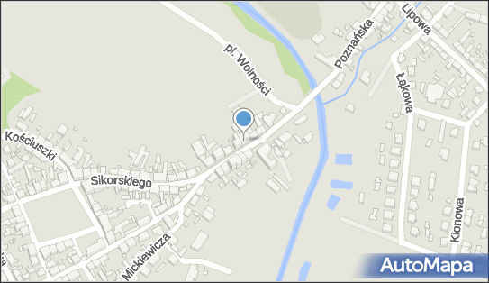 Przedsiębiorstwo Handlowe To i Owo, ul. Poznańska 5, Trzciel 66-320 - Przedsiębiorstwo, Firma, NIP: 5960003135