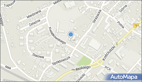 Przedsiębiorstwo Handlowe, ul. Kwiatkowskiego 2, Częstochowa 42-200 - Przedsiębiorstwo, Firma, NIP: 5731195593