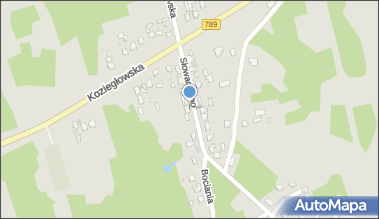 Przedsiębiorstwo Handlowe, ul. Słowackiego 221, Myszków 42-300 - Przedsiębiorstwo, Firma, numer telefonu, NIP: 5771504445