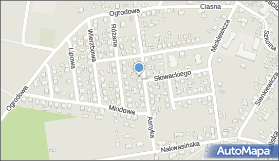 Przedsiębiorstwo Handlowe, ul. Adama Asnyka 14, Koźminek 62-840 - Przedsiębiorstwo, Firma, NIP: 9680227321