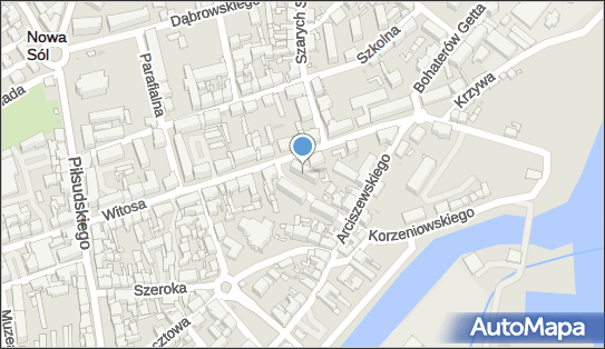 Przedsiębiorstwo Handlowo Transportowe Duet, ul. W. Witosa 26A 67-100 - Przedsiębiorstwo, Firma, NIP: 9251166205