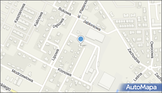Przedsiębiorstwo Handlowo Usługowe Adam Kosiorowski, Jesionowa 15 63-100 - Przedsiębiorstwo, Firma, NIP: 7851665022