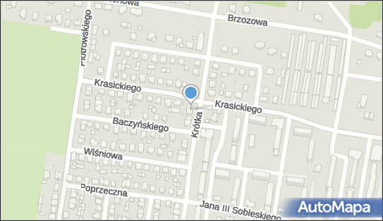 Przedsiębiorstwo Handlowo Usługowe Agnes, Krótka 33, Poddębice 99-200 - Przedsiębiorstwo, Firma, NIP: 8281003588