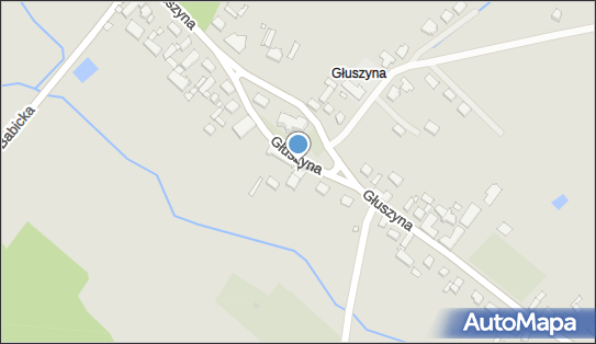 Przedsiębiorstwo Handlowo Usługowe Agro Vita Pasz, Głuszyna 154 61-329 - Przedsiębiorstwo, Firma, numer telefonu, NIP: 7820042142