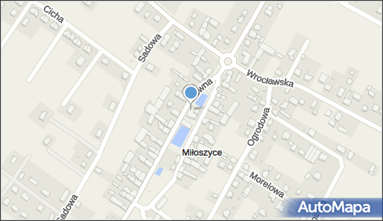 Przedsiębiorstwo Handlowo-Usługowe Alicja Głuszko, Główna 7 55-220 - Przedsiębiorstwo, Firma, NIP: 9121225530