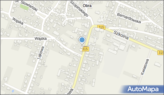 Przedsiębiorstwo Handlowo Usługowe Artur Piskorski, Kanałowa 30 64-211 - Przedsiębiorstwo, Firma, NIP: 9231585784
