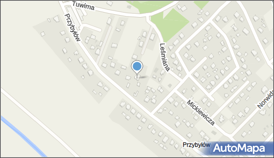 Przedsiębiorstwo Handlowo Usługowe Bluescreens, Gorzyce 39-432 - Przedsiębiorstwo, Firma