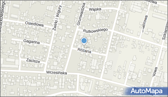 Przedsiębiorstwo Handlowo - Usługowe BOSTON Tomasz Wolski 62-020 - Przedsiębiorstwo, Firma, godziny otwarcia