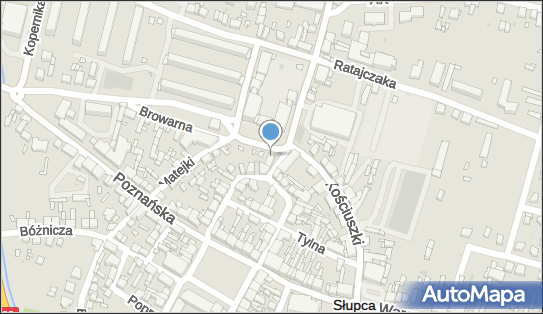 Przedsiębiorstwo Handlowo Usługowe Bożena Bielak, pl. Szkolny 2 62-400 - Przedsiębiorstwo, Firma, NIP: 6670000494