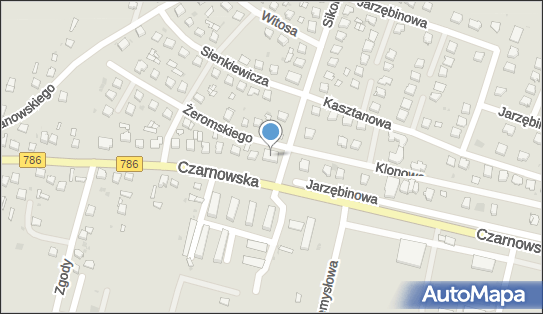 291052876, Przedsiębiorstwo Handlowo-Usługowe Bożena i Paweł Molisak 