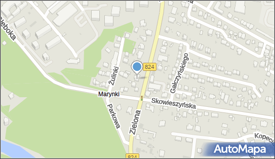 Przedsiębiorstwo Handlowo Usługowe Cafe MIX, Zielona 32, Puławy 24-100 - Przedsiębiorstwo, Firma, NIP: 7162451222
