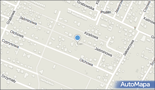 Przedsiębiorstwo Handlowo Usługowe Daimont Fashion, Jaśminowa 28 63-400 - Przedsiębiorstwo, Firma, NIP: 6222270878